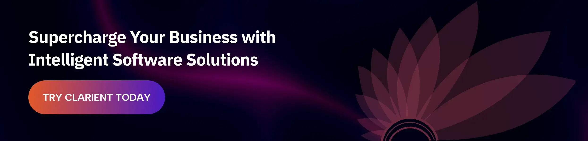 custom application development